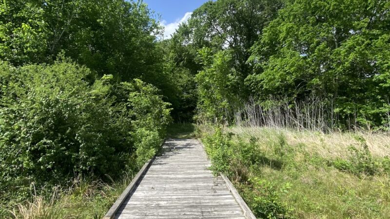 Robert C. Stuart Park - Houston, TX