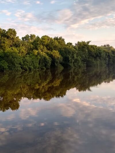 Sims Bayou Greenway - Houston, TX