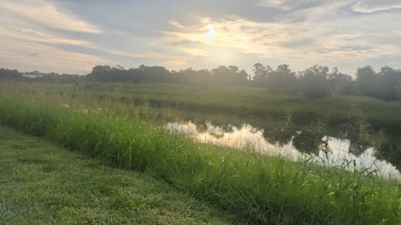 Sims Bayou Greenway - Houston, TX
