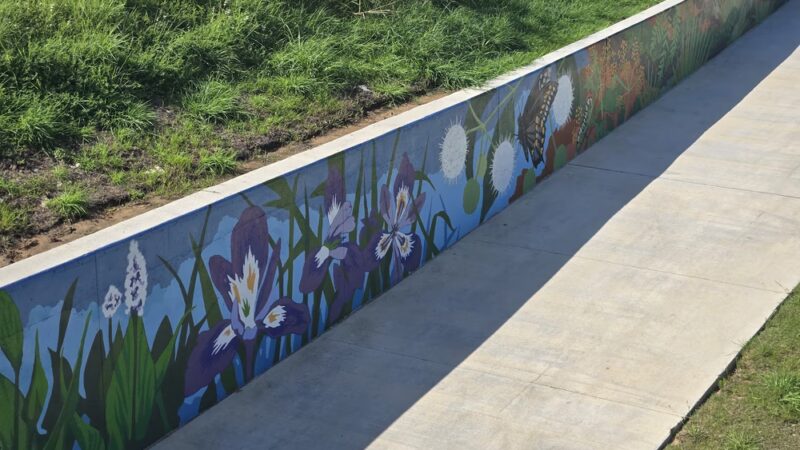 Sims Bayou Greenway - Houston, TX