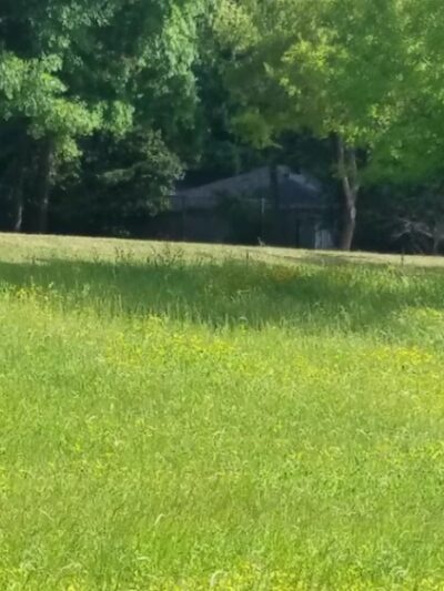 Terry Hershey Park - Houston, TX