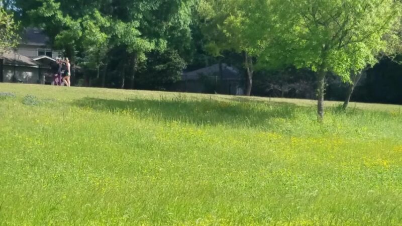 Terry Hershey Park - Houston, TX
