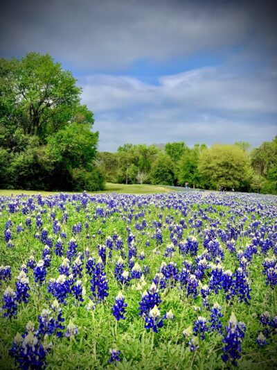 Terry Hershey Park - Houston, TX