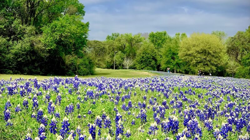 Terry Hershey Park - Houston, TX