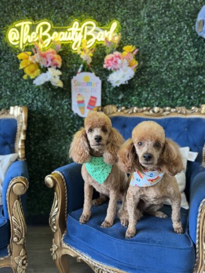 The BeautyBark LLC - Houston, TX