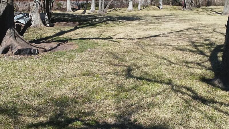 Trinity Gardens Park - Houston, TX