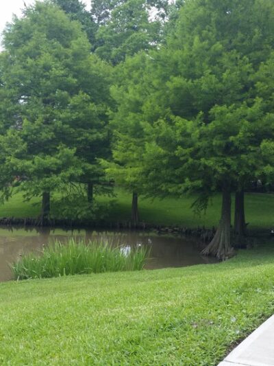 Waller Park - Houston, TX