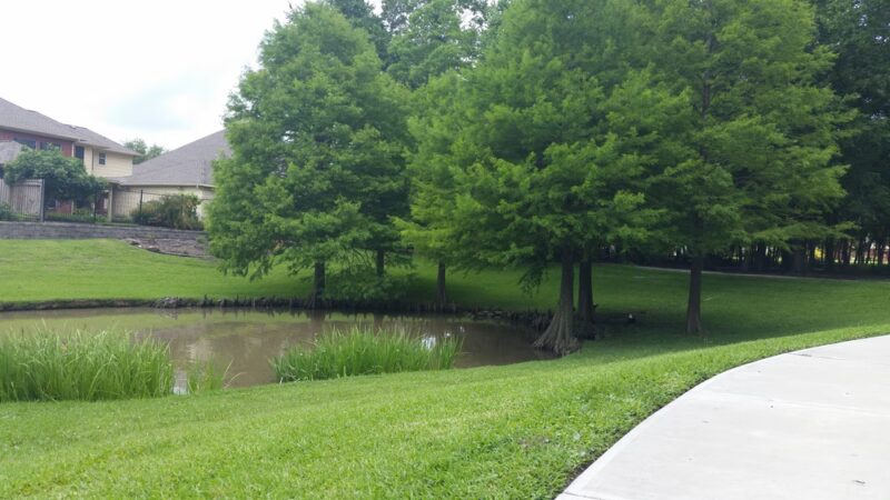 Waller Park - Houston, TX