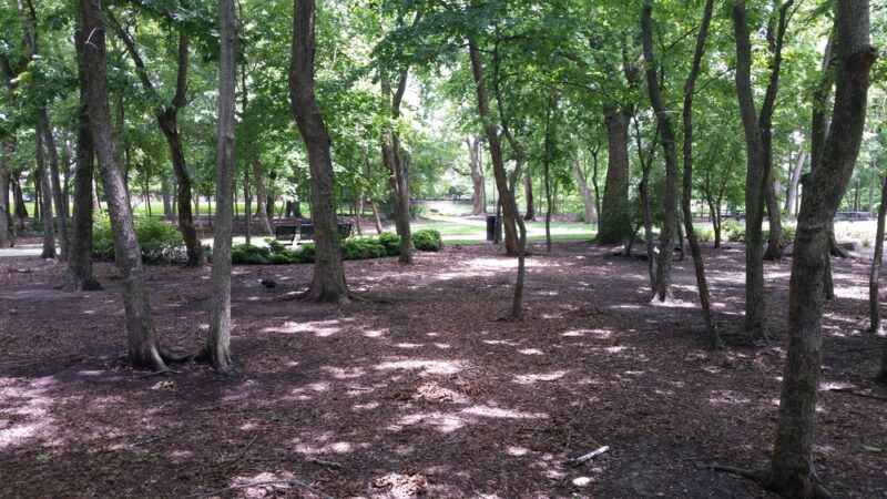 Waller Park - Houston, TX