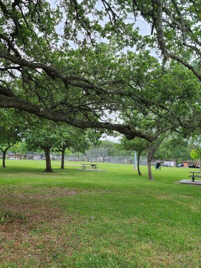 Westbury Park - Houston, TX