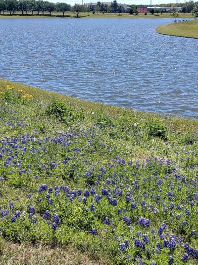 Wortham Park & Trail - Houston, TX