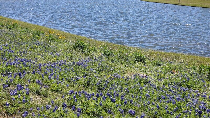 Wortham Park & Trail - Houston, TX