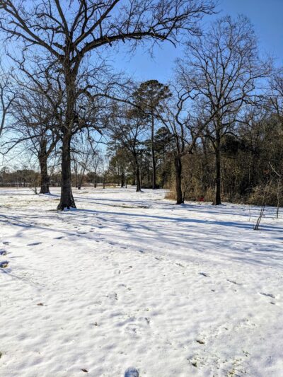 Bretshire Park - Houston, TX
