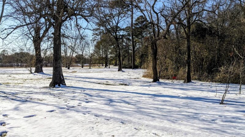 Bretshire Park - Houston, TX