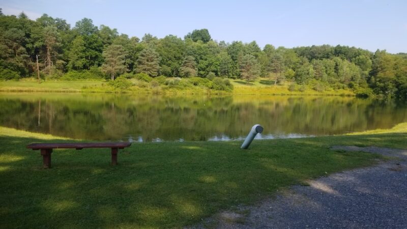 Brisbin Recreation Area - Houtzdale, PA