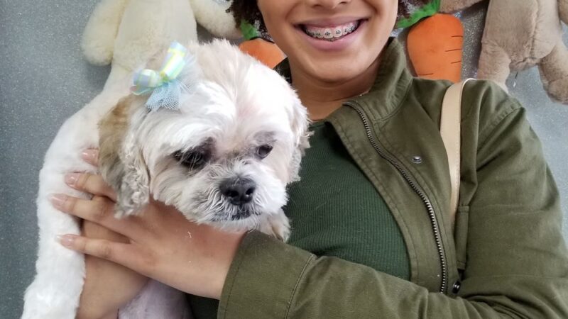 JustPawfection - Howard Beach, NY