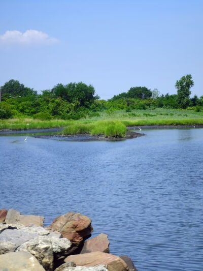 Spring Creek Park - Howard Beach, NY