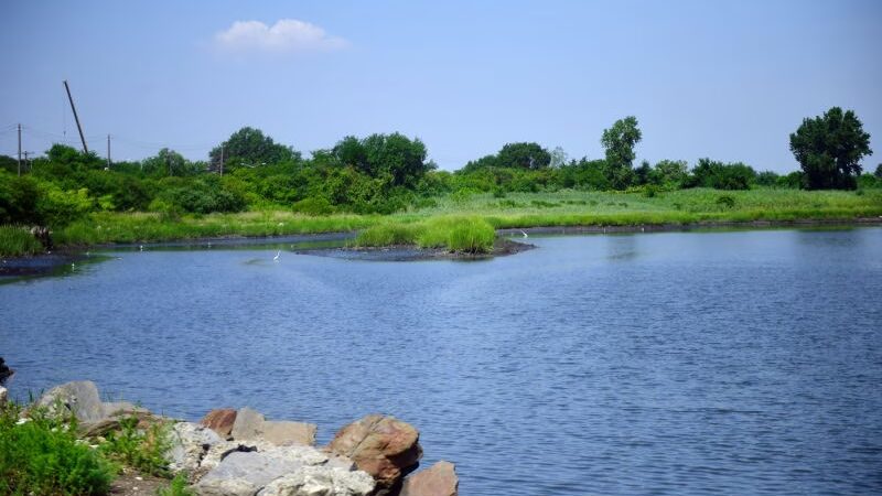Spring Creek Park - Howard Beach, NY