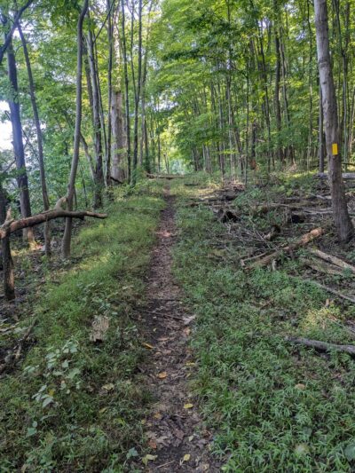 Lakeside Trail - Howard, PA