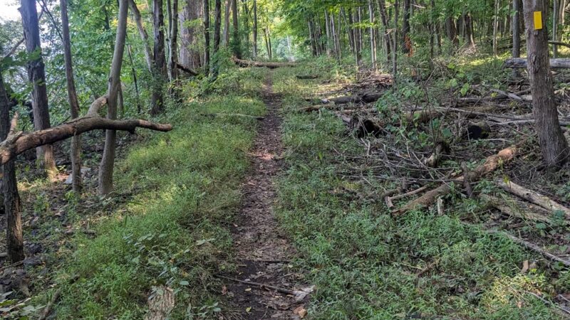 Lakeside Trail - Howard, PA