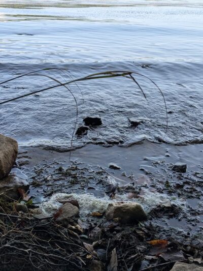 Lakeside Trail - Howard, PA
