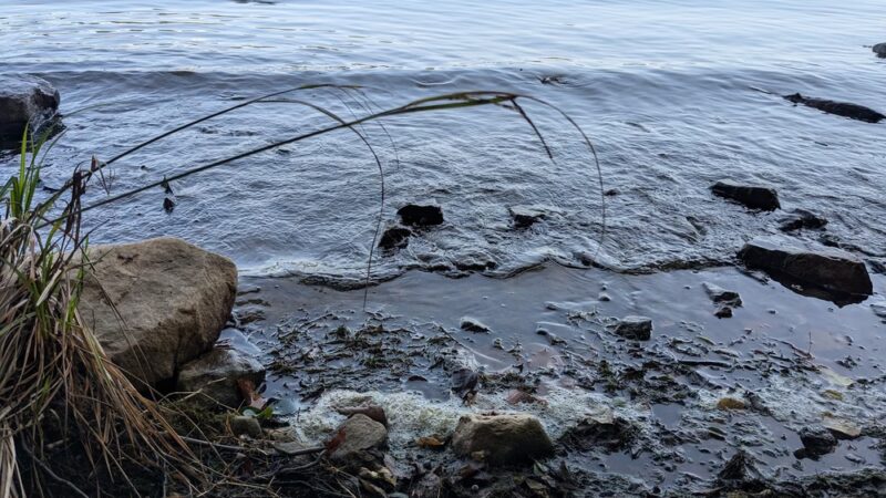 Lakeside Trail - Howard, PA