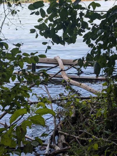 Lakeside Trail - Howard, PA