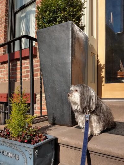 Hrsanchez Dog Walking and Boarding - ,