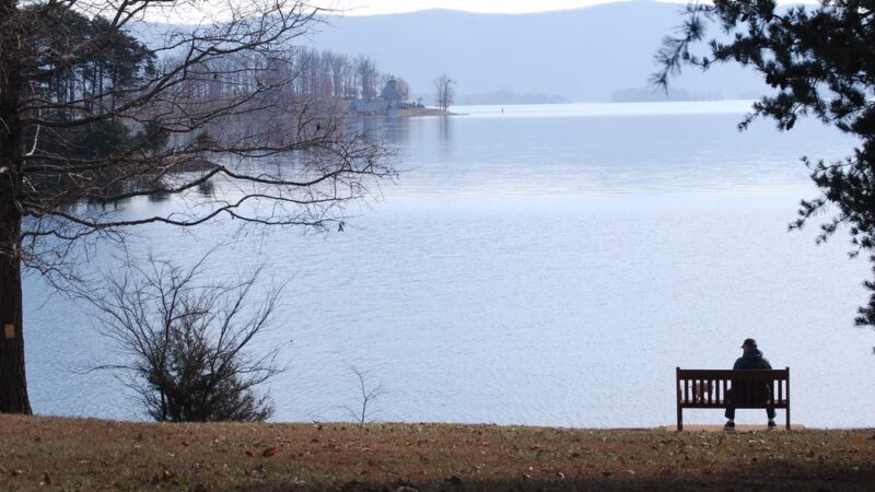 Smith Mountain Lake State Park - Huddleston, VA