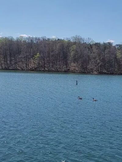 Smith Mountain Lake State Park - Huddleston, VA