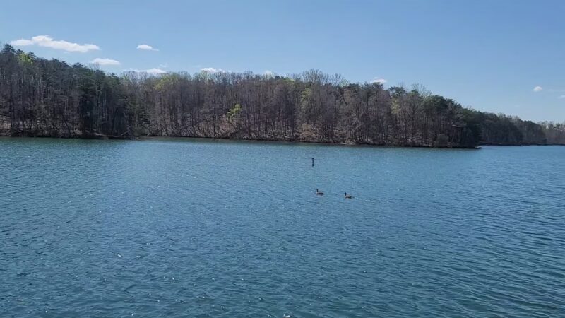 Smith Mountain Lake State Park - Huddleston, VA
