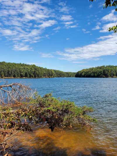 Smith Mountain Lake State Park - Huddleston, VA