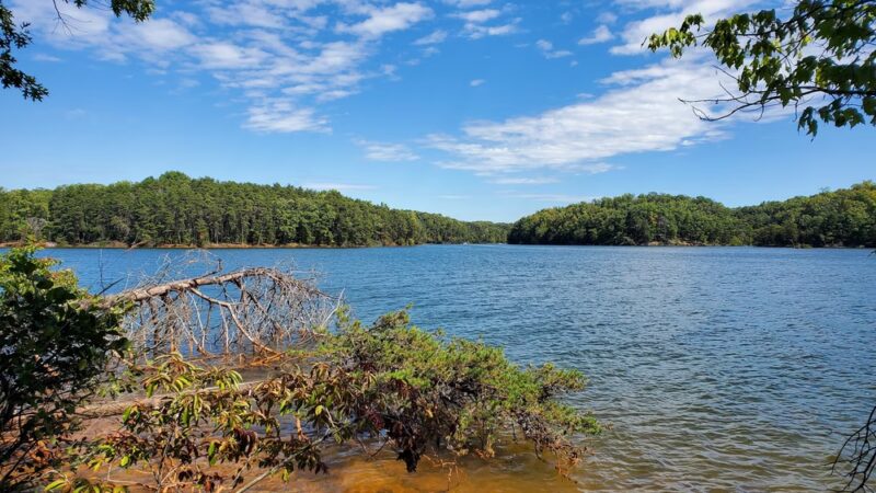 Smith Mountain Lake State Park - Huddleston, VA