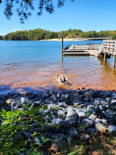 Smith Mountain Lake State Park - Huddleston, VA
