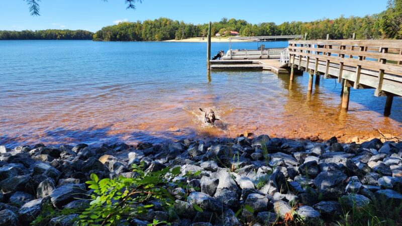 Smith Mountain Lake State Park - Huddleston, VA