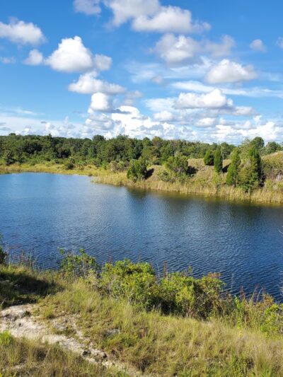 Aripeka Sandhills Preserve - Hudson, FL