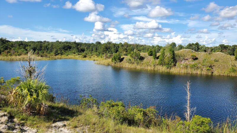 Aripeka Sandhills Preserve - Hudson, FL