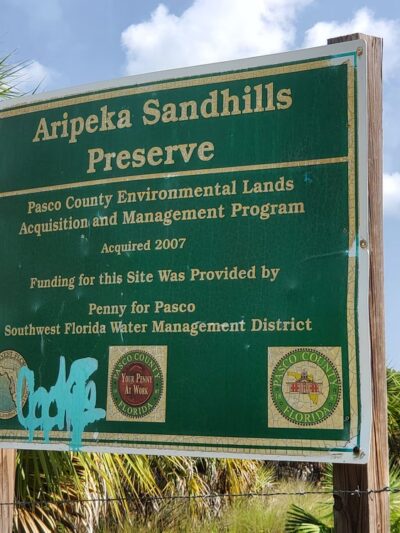 Aripeka Sandhills Preserve - Hudson, FL
