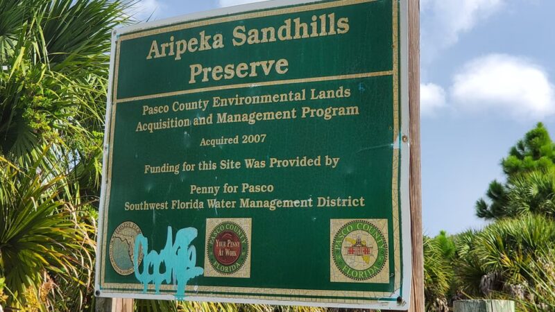 Aripeka Sandhills Preserve - Hudson, FL