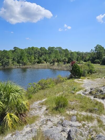 Aripeka Sandhills Preserve - Hudson, FL