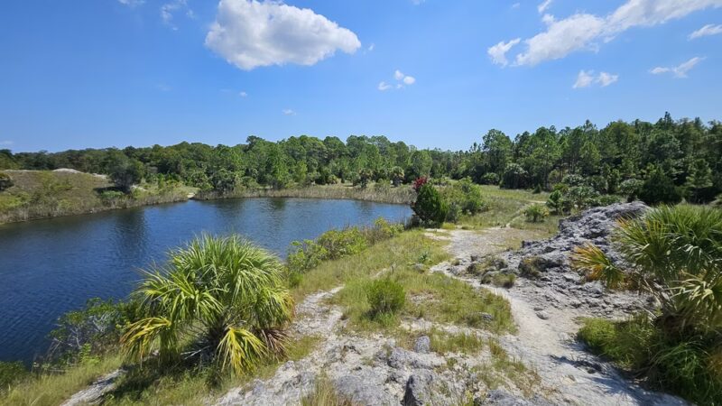 Aripeka Sandhills Preserve - Hudson, FL