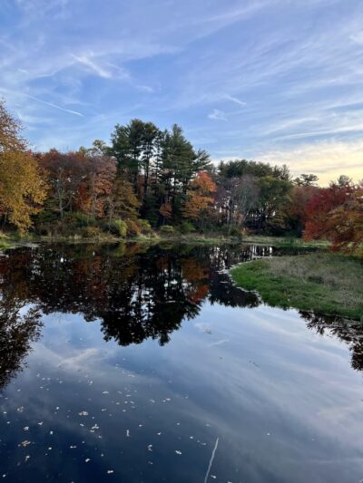 Wood Park - Hudson, MA