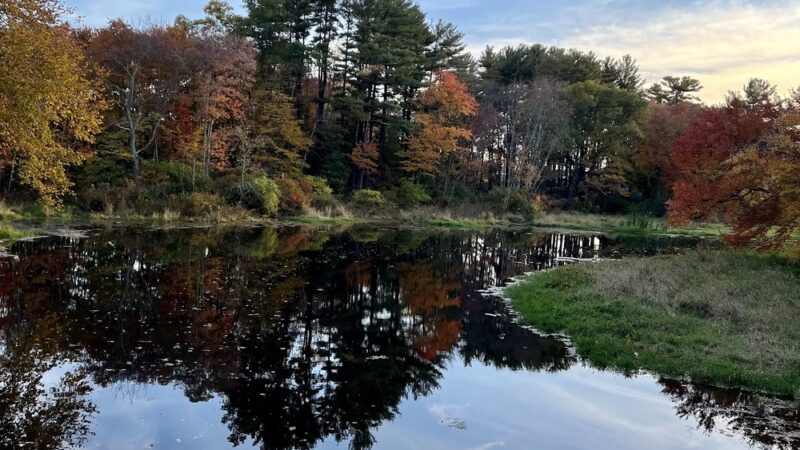 Wood Park - Hudson, MA