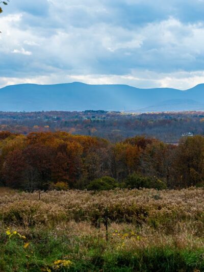 Harrier Hill Park - Hudson, NY