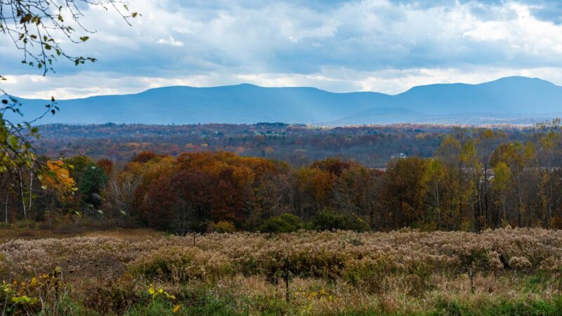 Harrier Hill Park - Hudson, NY