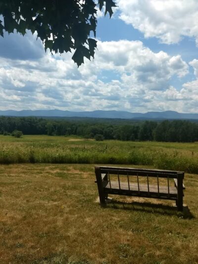Harrier Hill Park - Hudson, NY