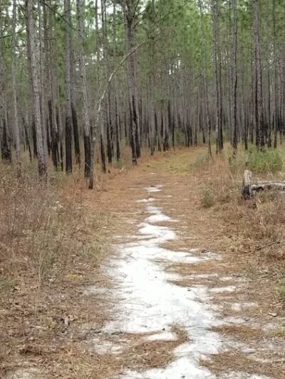 Halfway Creek Trailhead - Huger, SC
