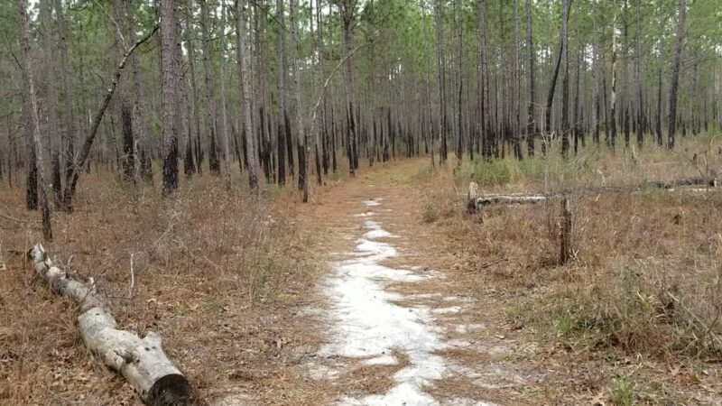 Halfway Creek Trailhead - Huger, SC