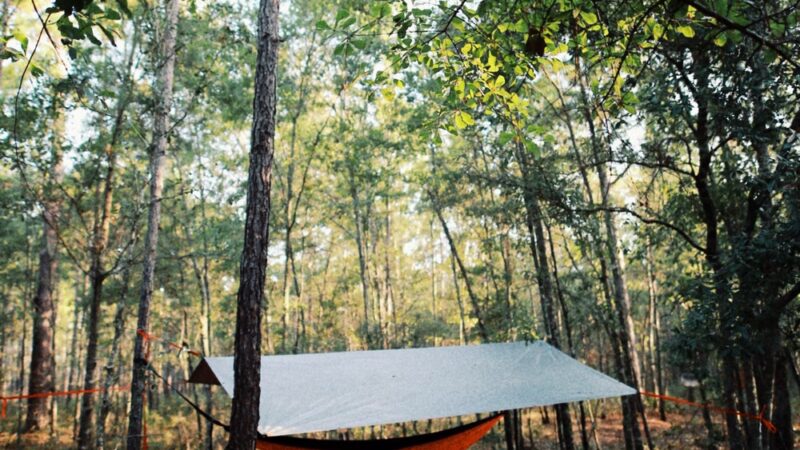 Halfway Creek Trailhead - Huger, SC