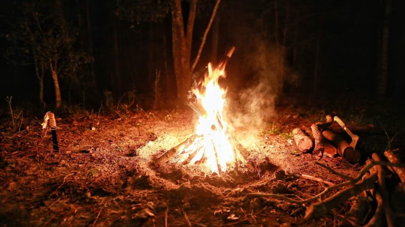 Halfway Creek Trailhead - Huger, SC
